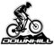 Finest Folia Mountainbike Aufkleber für Auto Fahrrad Bike Helm Wasserflasche Gitarre Laptop Koffer Outdoor MTB Vinyl Sticker wasserfest selbstklebend Zubehör R201 (09 Downhill)