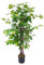 Pianta Finta Da Interno Artificiale Grandi Varie Altezze 100/150/180 Cm Artificiali Vari Modelli Modellabili Decorazioni Casa Ufficio - Albero di Fico - Altezza 100cm