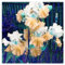 Schwertlilie Zwiebeln,lilium zwiebeln, Schwertlilien Winterharte Mehrjährig,Iris Rhizome,Schwertlilie Pflanze,Schwertlilien Winterhart Staude-3 Knollen-D
