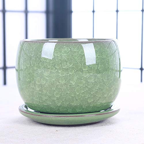 Eisgeknackter Keramik-Sukkulenten-Blumentopf, einfach mit Tablett, auslaufsicher, Blumentöpfe für alle Zimmerpflanzen, Blumen, Usambaraveilchen, Sukkulenten, Kaktus-Blumentöpfe (Color : Light Green)
