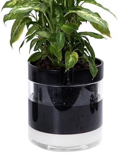 Phoenix Vine 25,4 cm Selbstbewässernder Terrakotta-Pflanztopf, schwarzer Terrakotta-Ton mit Glasreservoir für Zimmerpflanzen, Kräuter, Blumen, 1er-Set, 52-C-I-1