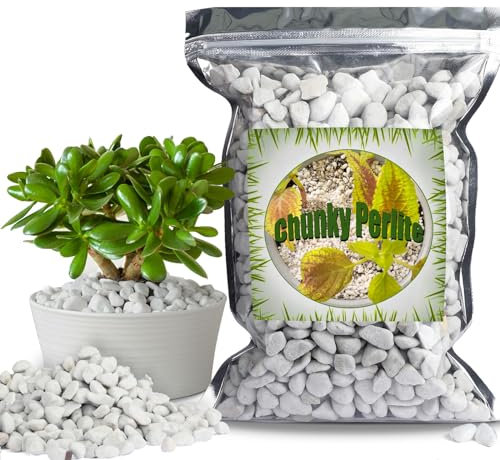Organic Chunky Perlite for Plants (0.4-0.8 in Diameter), Natural Horticultural Soil Additive Conditioner Mix, Improve Drainage and Ventilation, Enhance Soil Health and Root Growth (10L)