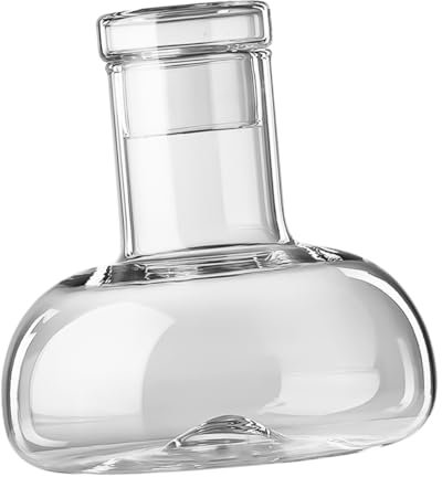 Garneck Wassertopf Aus Glas Klarer Topf Schnapsflasche Aus Glas Rotwein Cooler Wasserkocher Ovaler Teller Wein Dekanter Flasche Klare Trinkgläser Wasser Mit Deckel Karaffe Persönlichkeit