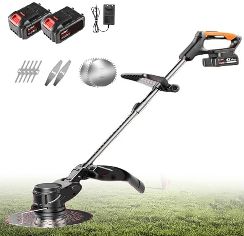 Tagliabordi a Batteria, tagliabordi Leggero, con 2 batterie e Caricabatterie, Display del Livello di Carica, Asta Regolabile + Testina di Taglio, per arbusti, Giardino, Erba e potatura