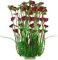 BSGP 1 lot de plantes artificielles en plastique pour aquarium - Décoration d'aquarium - Grande plante non toxique - Sans danger pour tous les poissons - 40 cm de haut