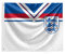 FOCO England Football World Cup European Crest Lion Supporters Car Flag
