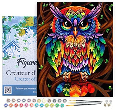 Figured'Art Peinture par Numéro Adulte avec Cadre Hibou coloré - Activité Manuelle Kit de Loisir Créatif DIY Numéro d'Art Complet - 40x50cm toile tendue sur châssis