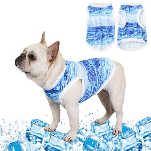 CHONGQILAO Kühlweste für Hunde und Katzen, Kühljacke für Hunde, sofortige Kühlung und Mikrofaser, Blau, M