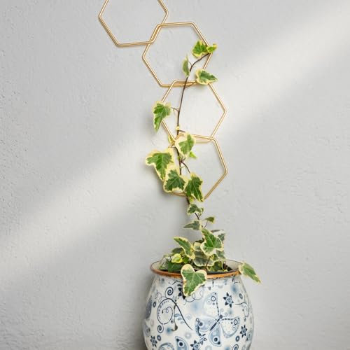 BOOXMIMI 17 Piece Metal Wall Trellis for Climbing Plants Durable Chain Plant Support Heavy Duty Metal Frame Garden Trellis for Vertical Gardening and Plant Decoration Outdoor Indoor Use