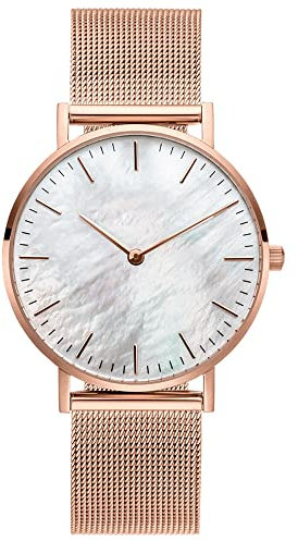 Basfur Dress Watch Fe-Montre-063-01