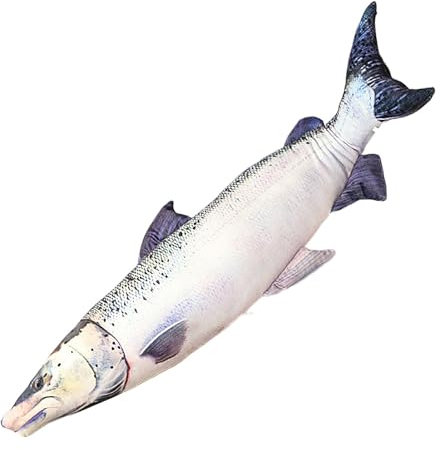 Plüschfisch – Plüschtiere aus Plüsch, Simulationsfisch | Plüschkissen für Kinder mit Haltbarkeit, Plüschtiere aus weichem Tier, 23,6 Zoll, Kissen