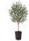 VeriNatural Olivier Artificiel 180cm-Grande Plante Artificielle d'Intérieur et Extérieur, Fausse Arbre avec Pot en Plastique Tressé Marron&Résistant aux UV-Décoration pour Maison,Balcon,VN133
