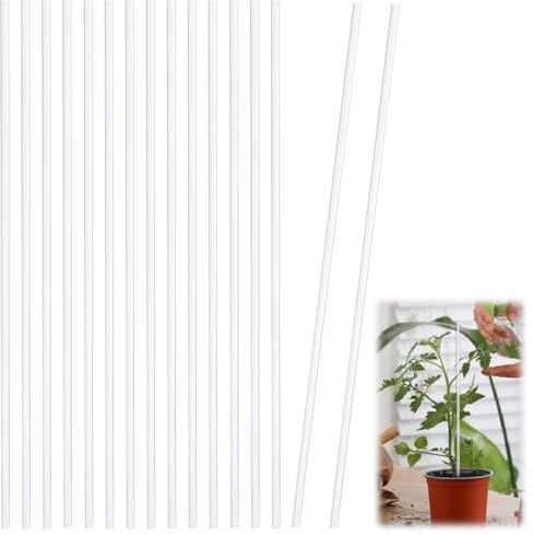 SUPERFINDINGS 40 Stück Acryl Orchideenstäbe Pflanzenstäbe Gartenstäbe Stangen Solide Stützstäbe Für Topfpflanzen Zur Unterstützung von Reben Wachstumsdekoration Zubehör Säule 300x5mm