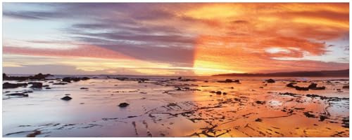 Wallario Küchenrückwand selbstklebend 115 x 50 cm, Motiv: Wattwanderung am Meer bei Sonnenuntergang | Spritzschutz abwischbar & pflegeleicht