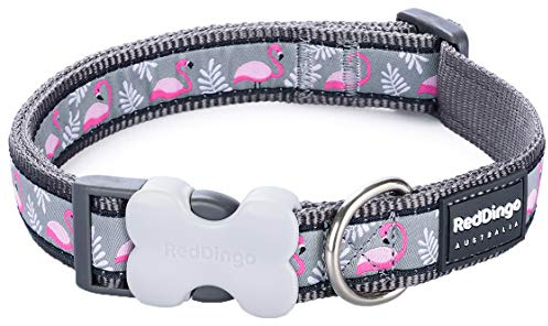 Red Dingo Bucklebone Dog Collar Design, Flamingo Grey, Medium 20mm