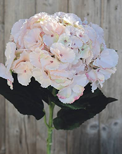 artplants.de Fleur en Tissu Hortensia Angelina, Rose pâle, 70cm, Ø23cm - Hortensia Artificiel