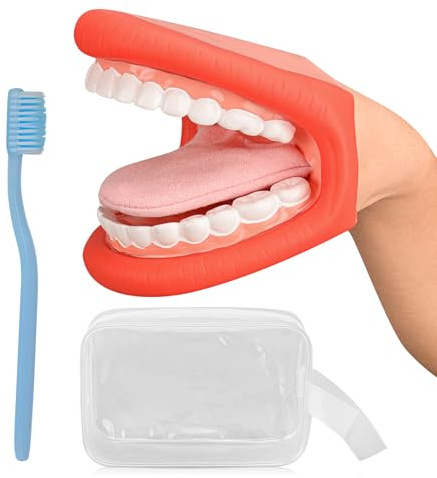 Ultrassist Mundmodell mit Zunge für die Sprachtherapie, inklusive Zahnbürste