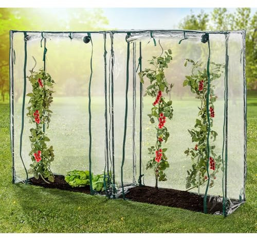GreenYard® Gewächshaus Foliengewächshaus Tomatengewächshaus in versch. Varianten (Tomatengewächshäuser 150x100x50 cm)