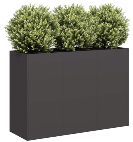 Genérico Jardinera de Acero Laminado en frío Negro 120x40x80 cm,Jardín,Jardinería,Maceteros y jardineras,860717