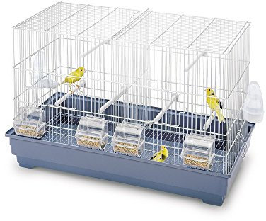 Glooke Selected iMac Cova 65 Vogelkäfige, Mehrfarbig, einzigartig