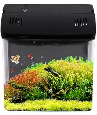Yplkm Desktop Aquarium - Leises Aquarium Mit Filter - Deko Für Schreibtisch Wohnzimmer Büro Tisch,Für Büro Tisch Zuhause Zimmer