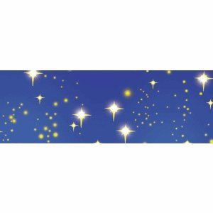 Ludwig Bähr 5 x Fotokarton 300g/qm A4 VE=5 Blatt Elemente Sternenhimmel