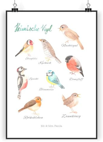 Mr. & Mrs. Panda Poster Heimische Vögel DIN A4 - Geschenk, Abenteuer, Posterdruck, Naturliebhaber, Kunstdruck, Sommer Deko, Outdoor, Raumdekoration,