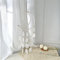 EXQUILEG Windspiel Weiß Perlmutt Muscheln Traumfänger, Fensterschmuck Mond Windspiel Mobile Muschel, Muschel Windspiel Gartendeko