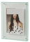 WLLKIY Transparenter Acryl-Fotorahmen, DIY-Poster, Malerei, Halle, Schlafzimmer, Wanddekoration, Ins-Stil, Tisch-Bilderrahmen Multifunktional(Green B,16x21cm)