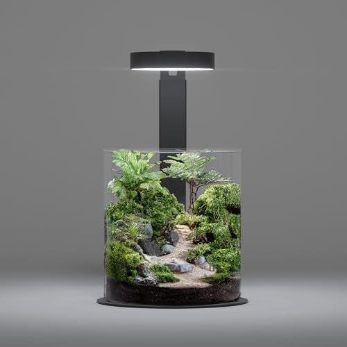 LANDEN Miniatur-Terrarium-Set – komplettes Mikro-Landschaft mit ultraklarem Glas, Moos, Sukkulenten und Pflanzenwerkzeugen – perfekt für Heimwerker zu Hause