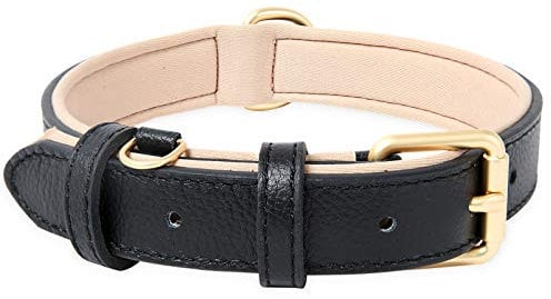 HEELE Hundehalsband, Halsband Leder mit gepolstert und echtes Leder, Verstellbar für Welpen Kleine Mittel Grobe Hunde, Schwarz, M