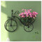 Aoguaro Fahrrad Blumenkorb Wandbehang Wandbehang Wandbehang Korb Vintage Metall Wand Pflanzgefäß Nostalgische Art Deco Blumenkorb Behälter Blumenregal, für Outdoor, Indoor, Garten, Hof, Korridor