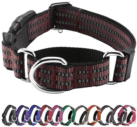 Hikiko Martingal-Hundehalsband, reflektierend, Nylon, mit Schnellverschluss-Schnalle, verstellbar, Training, rutschfest, Größe M, Kaffeebraun