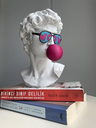 David Bust Woow Pop Art Michellangelos David Skulptur 25 cm handbemalt