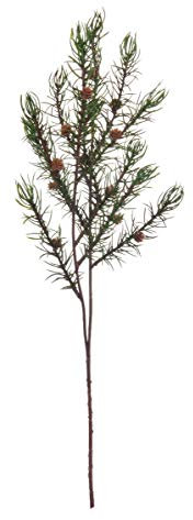 ASA 66233444 Xmas Pfirsich, Kiefer, 46 cm, grün