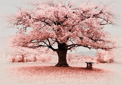 Wesmilewallpaper Papier Peint Panoramique Paysage Arbre Rose 150X105cm | Banc Bois Forêt Roses Champêtre Romantique Chaleureuse Moderne Intissé Soie Murales Poster Décoration Salon Chambre Et Séjour