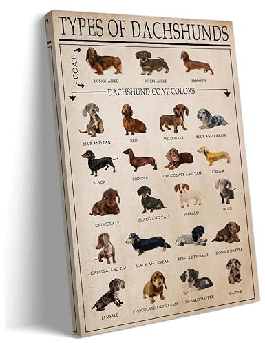 Dackel Wandkunst Hund Poster Gerahmte Arten von Dackel Wissensdiagramm Poster Vintage Leinwand Haustier Wanddekoration Drucke Tierbilder Dekorationen für Wohnzimmer Gerahmt 40,6 x 61 cm