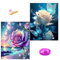 Aiuorty 2 Pack Diamond Painting Bilder Blumen Erwachsene Full DIY Diamant Kunst Malerei Stickerei Set Diamond Painting for Home Decoration, Christmas Gifts 30x40cm