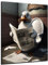 DARO Design - Bilder Deko Gäste WC Wandbild Badezimmer Bad Toilette Kunstdruck Bild auf 6mm HDF 50x70 cm Ente Wanddeko - lustige Wandbilder Leinwand Poster Aesthetic Room Decor Duck