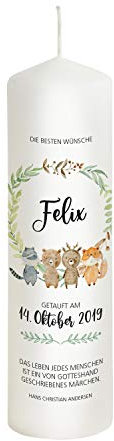 Scheinvoll® Taufkerze Waldtiere für Jungen und Mädchen - 25 x 8 cm Modell Felix - Hochwertige Kerze zur Taufe
