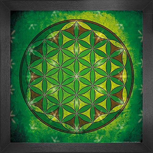 1art1 Mandalas Poster Kunstdruck Bild und MDF-Rahmen - Die Blume des Lebens, Element Erde (40 x 40cm)