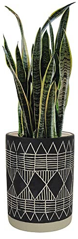 Kusso Blue Ceramic Plant Pot (15x20cm) - Artisan Style Geometric Pattern Pot for Indoor House Plants, Painted Flowerpot for Succulent Plants, Cactus, Herbs, Monstera, Daffodils, Tulips & More