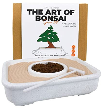 Gift Republic GR870001 Bonsai-Baum-Wachstums-Set