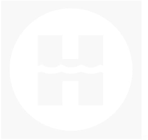 Hayward HDF 400 Gasheizungs-Kit - IGN & Flammensensor | HDXFIGFS001