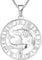 YL Silber Fische Halskette-925 Sterling Silber Horoskop Sternzeichen 12 Konstellation Anhänger Halskette für Damen