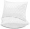 Oreiller 50x70 cm Lot de 2 Coussins Hotellerie Luxe Oreillers, Antiallergique Anti Acarien d'oreiller Moelleux Microfibre Lavable, Ergonomique Oreiller pour Dormeurs sur Le Dos Le Côté Le Ventre