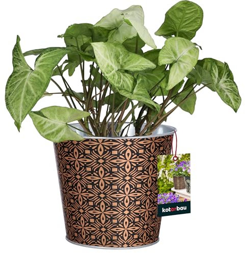 KOTARBAU® Cache-Pot Circulaire en métal Doré ⌀ 12,5 x 12 cm en Acier | Pot de Fleurs décoratif pour Fleurs et Herbes aromatiques | Pot de Fleur Metal | Cache Pot Fleurs | Cache Pot Metal