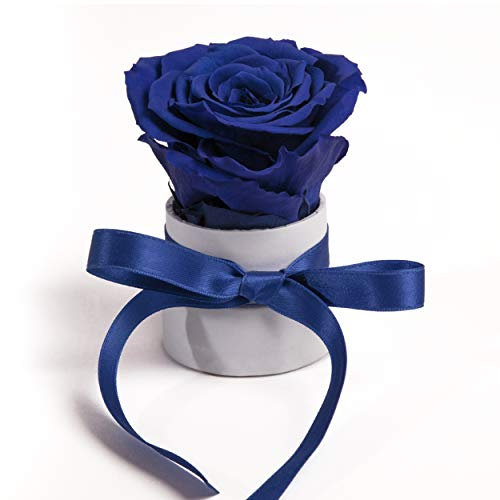 ROSEMARIE SCHULZ Heidelberg Kleine Rosenbox weiß rund Infinity Rose - Blumenbox 1 konservierte Rose (Weiß-Blau)