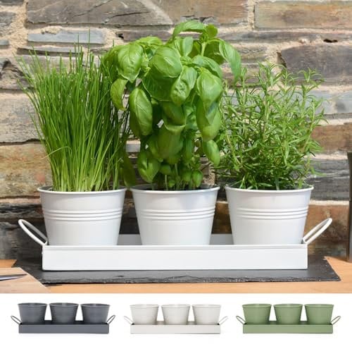 CKB LTD Set di 3 vasi in metallo con vassoio per erbe aromatiche - Per interni, davanzali e balconi, coltiva le tue erbe per la cucina. Colore bianco