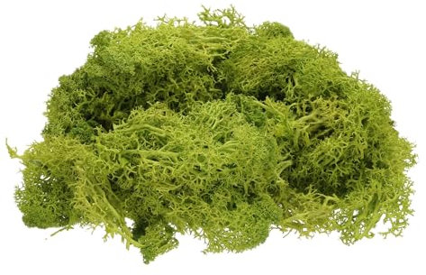 QUARKZMAN Musgo de Reno Preservado 4 OZ Musgo Artificial para Manualidades Musgo Seco Artificial para Decoración Manualidades Terrarios Plantas en Maceta Centros de Mesa (Chartreuse)